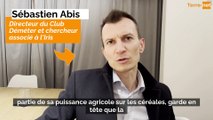 Interview de Sébastien Abis, directeur du club Déméter, chercheur associé à l'Iris : quels enjeux français et européens sur les marchés céréaliers mondiaux ?