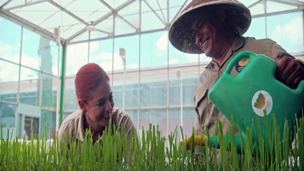 MONTAJE TIERRAS_20SEG_MEZCLA (1)