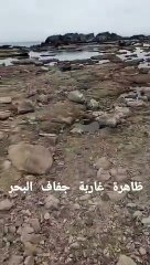 --شاهد ظاهرة غريبة في الجزائر تراجع منسوب البحر البحر نشف--(360P)