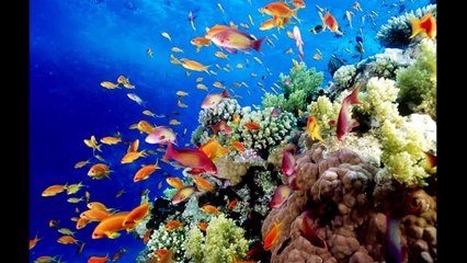 10 Things Global Warming Could Change Forever