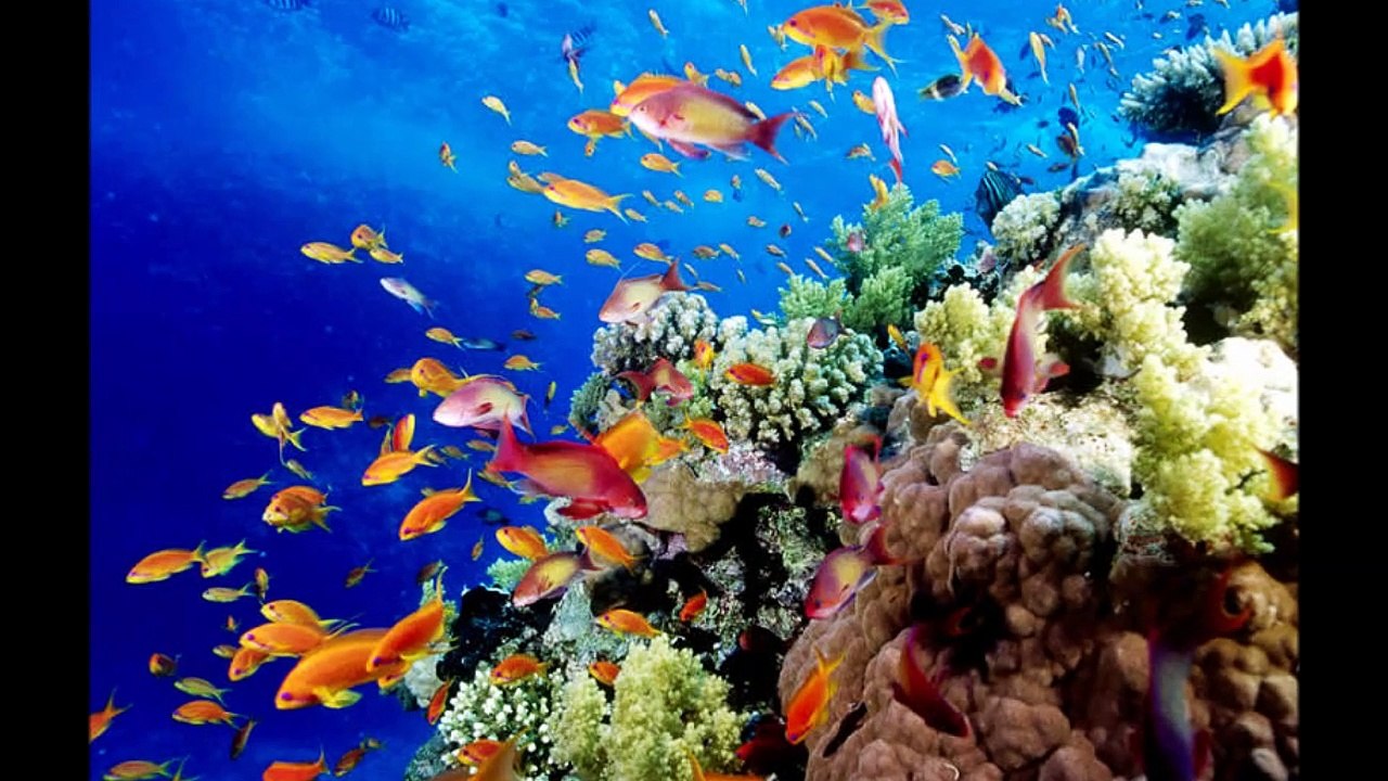10 Things Global Warming Could Change Forever