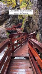 #best view#trending#shorts#viral