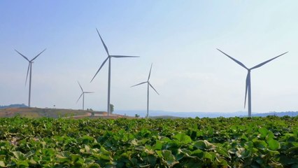 Comunità energetiche, l'Italia avvia l'iter con l'Ue