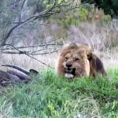 What would you do in this situation