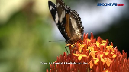 Anies Baswedan Ucapkan Selamat Idul Fitri, Rayakan Kemenangan dengan Mensyukuri Keragaman