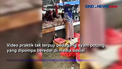 Hati-hati Ayam Potong Diisi Angin Pakai Pompa, Pembeli Harus Teliti