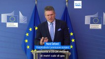 Acqusti comuni di gas nell'Ue per contrastare la (prossima) crisi energetica