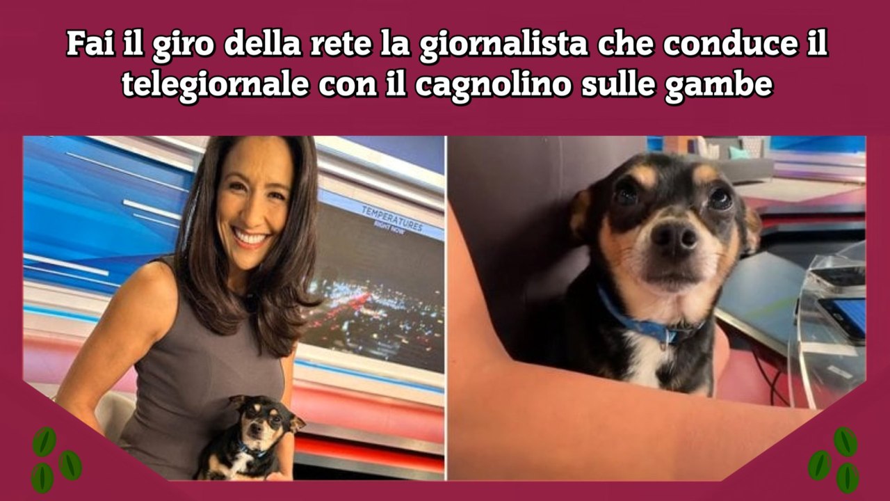 Fai il giro della rete la giornalista che conduce il telegiornale con il cagnolino sulle gambe
