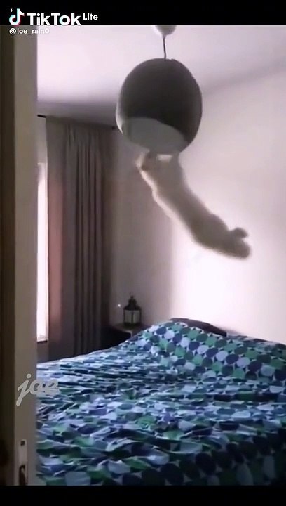 Funny video compilation