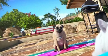 Mighty Mike Mighty Mike E008 Feline A Little Racoon