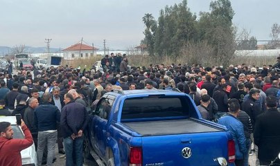 ANTALYA'DA DOMATES ÜRETİCİLERİ İHRACAT KISITLAMASININ KALDIRILMASINI İSTEDİ