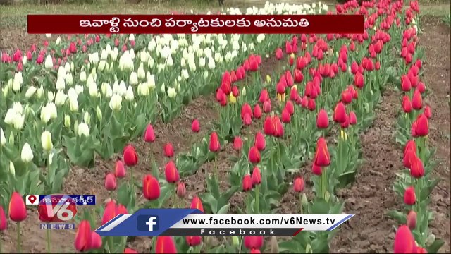 Tulip Garden Thrown Open For Public _ Highland Park Kud _ Jammu Kashmir | V6 News (1)