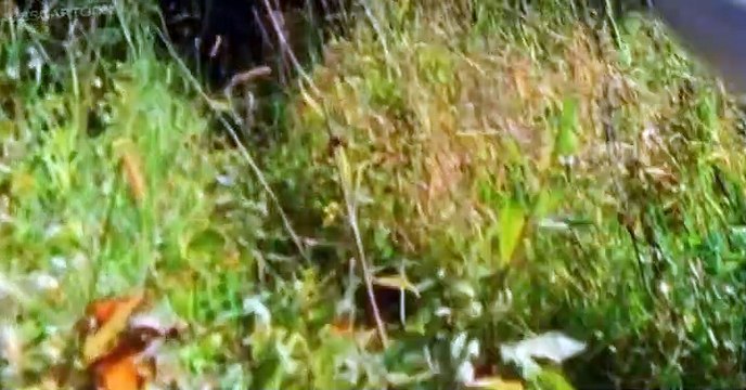 Jurassic Fight Club Jurassic Fight Club E003 Gang Killers