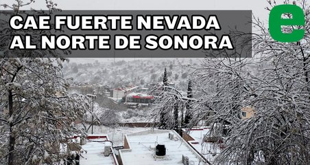 Cae intensa nevada al norte de Sonora | EXPRESO