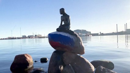 덴마크 유명 인어공주상에 '러시아 국기'...수사 중 / YTN