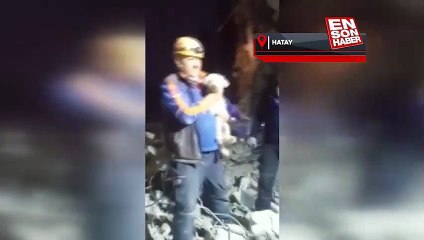Asrın felaketinin 25. gününde Hatay'da enkazdan bir köpek canlı çıkartıldı