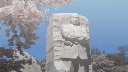 National Park Service Announces Dates To See Cherry Blossoms At Their Peak