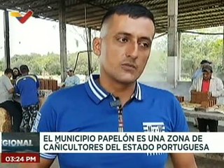 Trabajadores del campo en el municipio Papelón se dedican a la elaboración de panela en Portuguesa