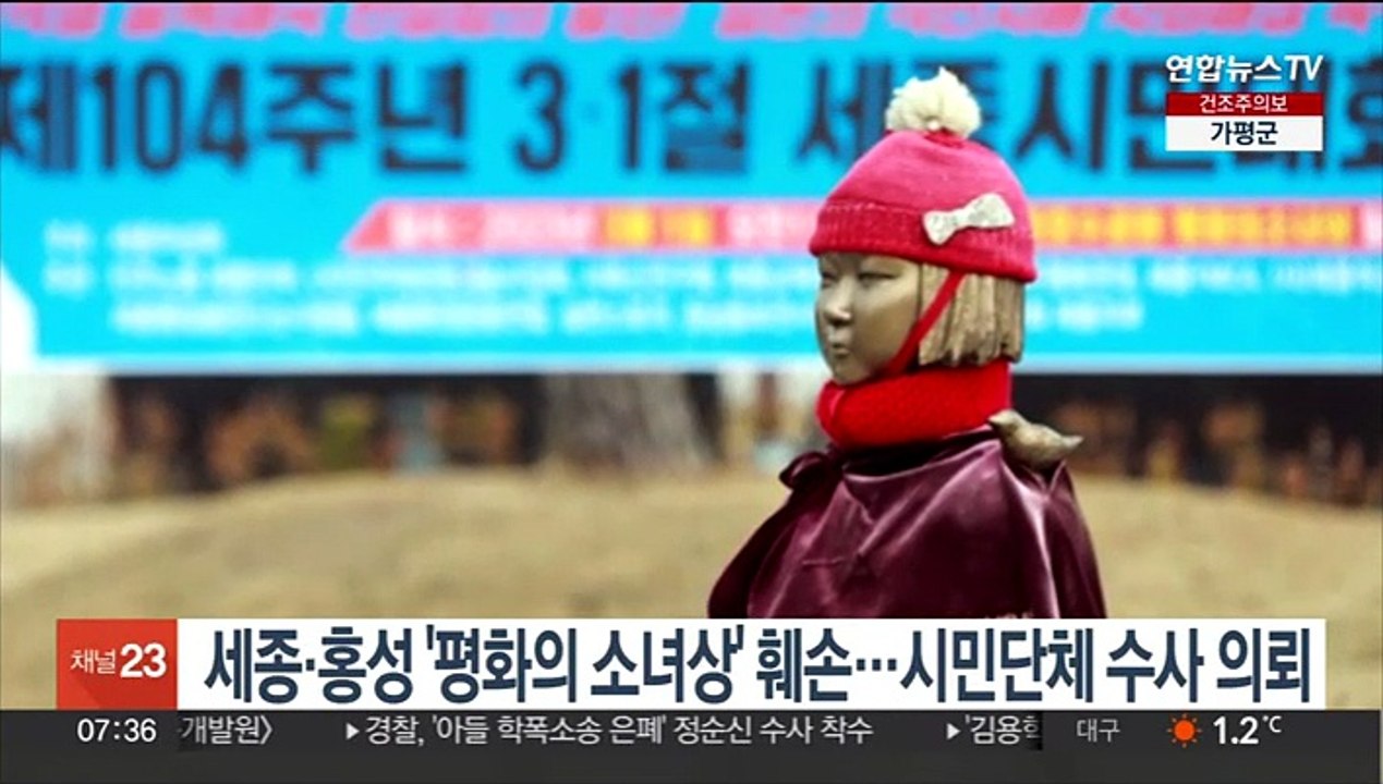 세종·홍성 '평화의 소녀상' 훼손…시민단체 수사의뢰