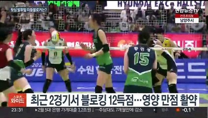 봄배구 '마지막 퍼즐' 블로킹…불꽃 튀는 미들블로커 대결