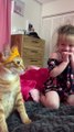 Cat Doesn't Know How to React When Little Girl Puts a Crown on Him