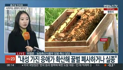 [출근길 인터뷰] 꿀벌 집단 폐사·실종 '응애' 때문…'응애'가 뭐기에