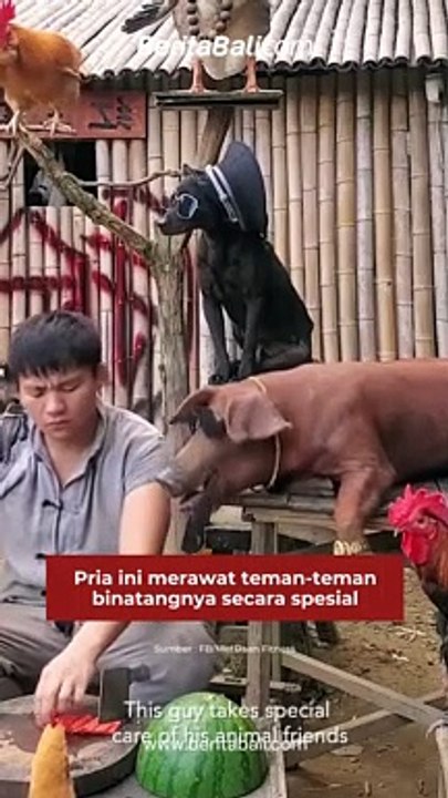 Pria ini merawat teman-teman binatangnya secara spesial