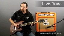 ESP/LTD Viper 300M [The Perfect Guitar]