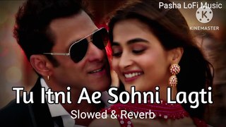 Tu Itni Ae Sohni Lagti ( Slowed & Reverb ) Song || Pasha LoFi