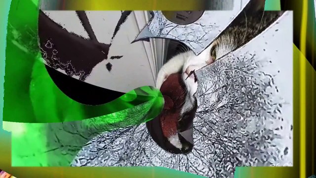 Driving to pay rent l going to store l 360 degrees l Powerdirector.compressed