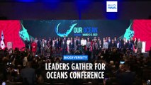 EU and US pledge funds to protect oceans at Panama conference