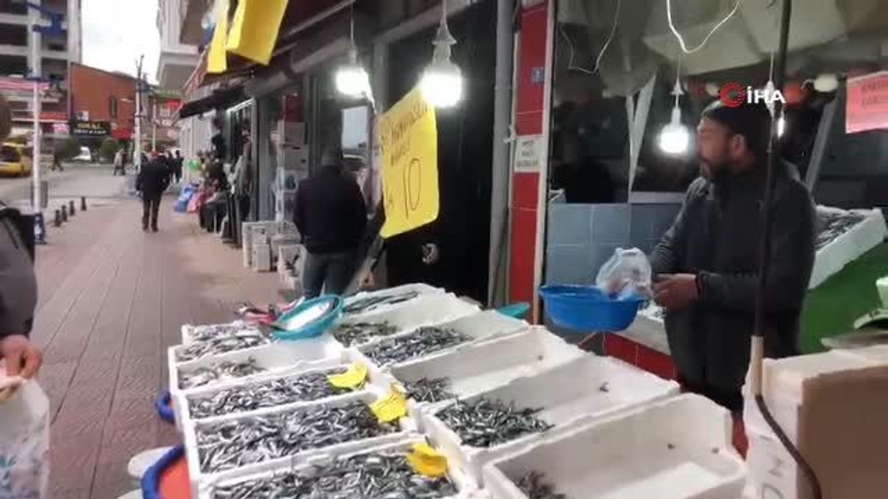 Tezgahta hamsi bolluğu: Kilosu 10 TL
