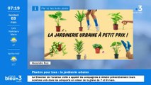 Plantes pour tous : une vente de plantes à prix mini tout le week-end sur Nantes !