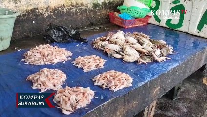 Cuaca Buruk Sebabkan Harga Ikan Laut Melonjak