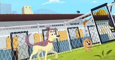 Pound Puppies 2010 Pound Puppies 2010 S01 E026 Lucky Gets Adopted