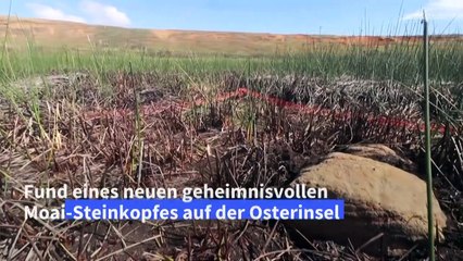 Neue geheimnisvolle Moai-Steinstatue auf Osterinsel gefunden