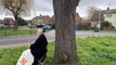 Disabled grandmother stages one-woman protest against removal of 61-year-old tree