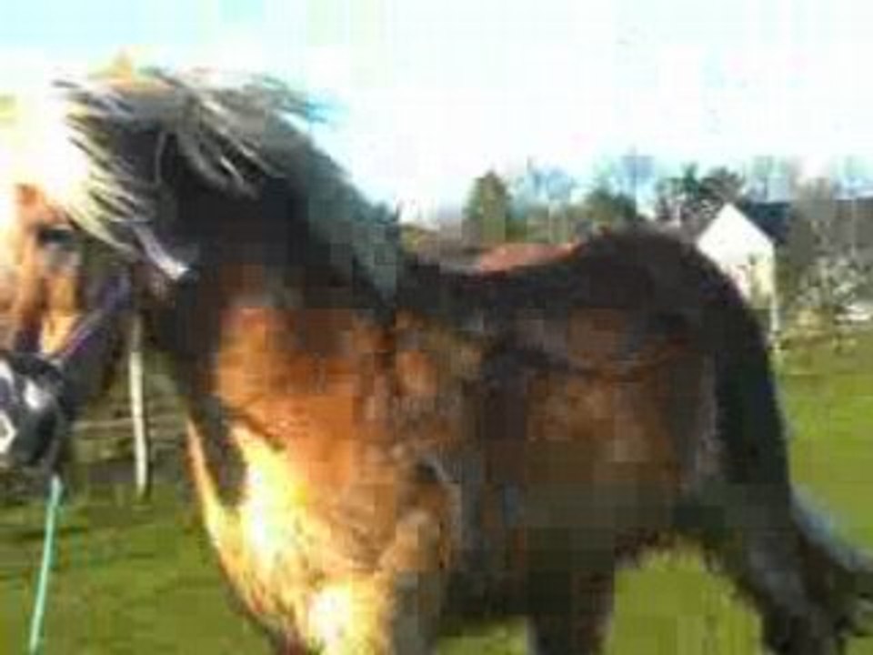 Cabrage love
