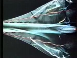 Concorde : un avion d'exception