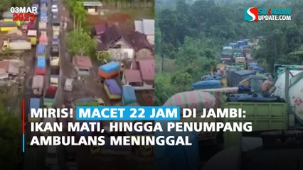 Miris! Macet 22 Jam di Jambi: Ikan Mati, Hingga Penumpang Ambulans Meninggal