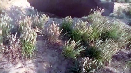 धमाके के साथ खेत में हुआ गड्ढा, नहरी क्षेत्र के किसानों में बना कौतूहल