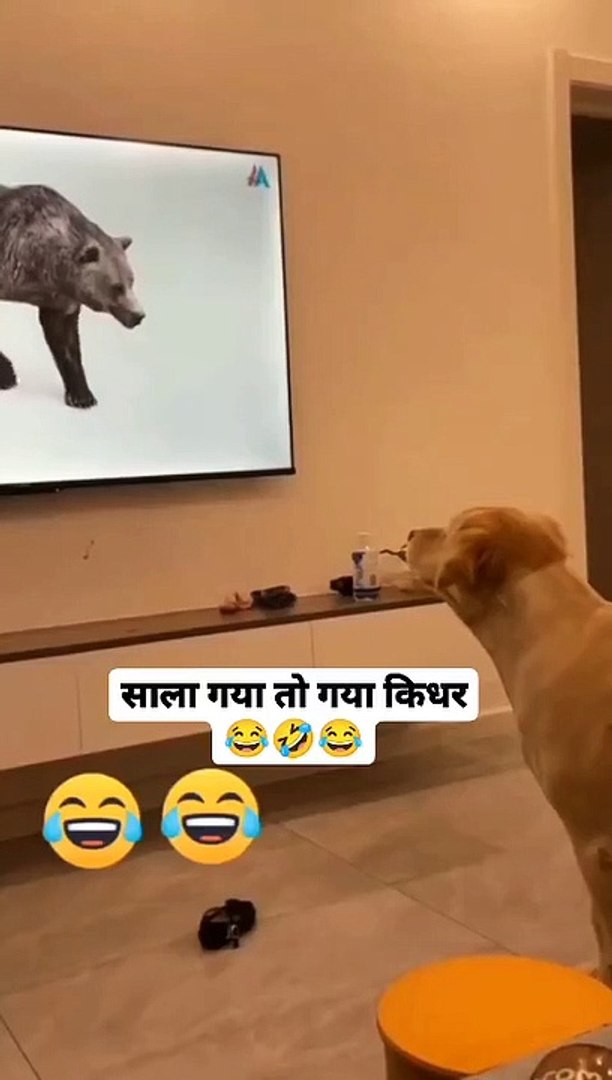 Entertainment video comedy