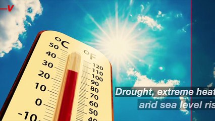 The Impact of Climate Change Will Be Felt Worse in These Top 3 Cities