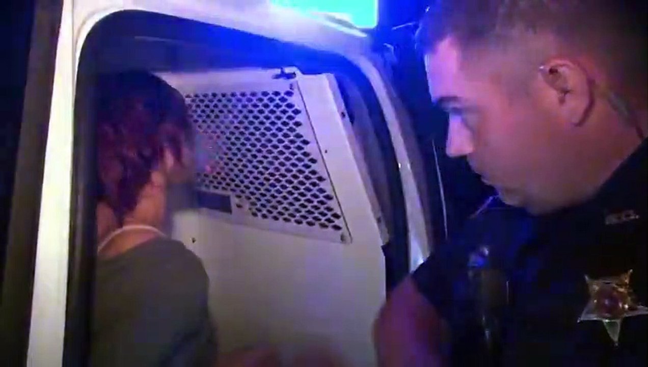 Cops - Se31 - Ep13 - Wheeling and Stealing HD Watch