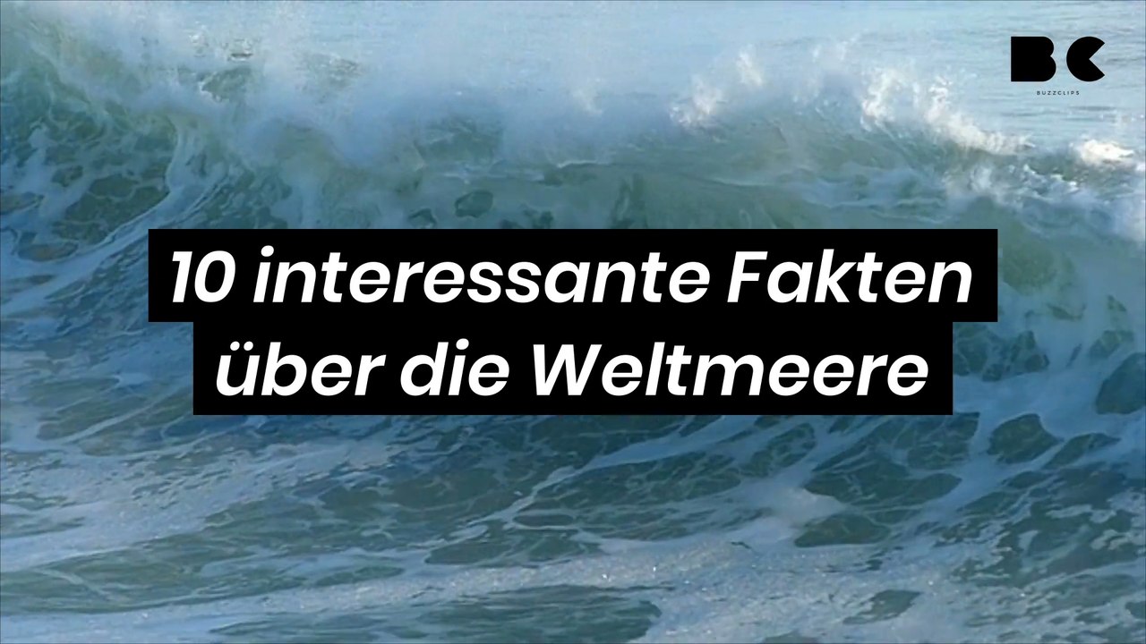 10 interessante Fakten über die Weltmeere