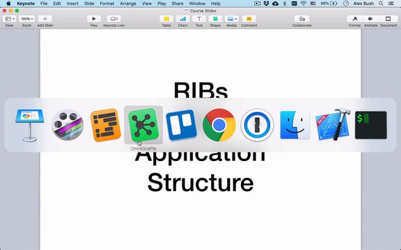 02 - RIBs. RIBs Tree Application Structure