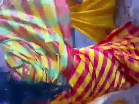 कौन गांव के कुंवर कन्हैया...राधा गौरी रे रसिया