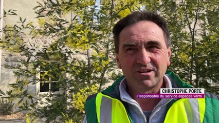 La première "fleur" pour Saint-Just-Saint-Rambert