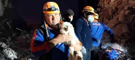 Hatay'da enkaz altından 25 gün sonra sevindiren kurtuluş, bir köpek sağ kurtarıldı