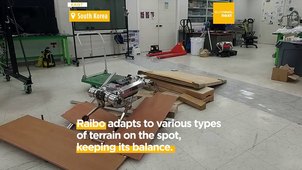 This quadruped robot could become a lifeguard, street cleaner, or delivery bot